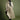 Layered-trench-coat