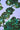 PAÑUELO DE SEDA ESTAMPADO FLORA AEONIUM